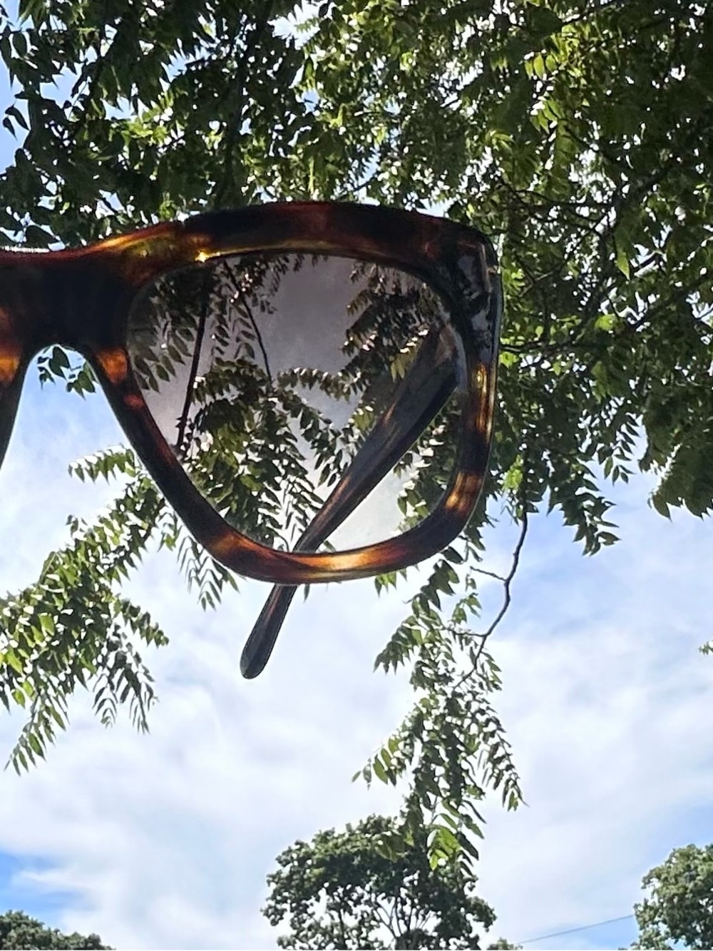 Tom Ford®️ Tortoise Framed “CELINA”Havana Sunglasses • EUC - Picture 5 of 15